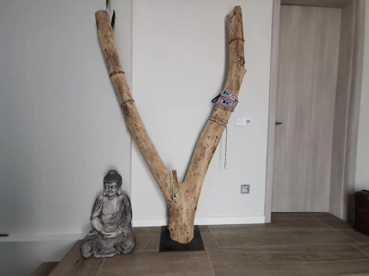 וילה הוילה בגור Casa De La Luz
